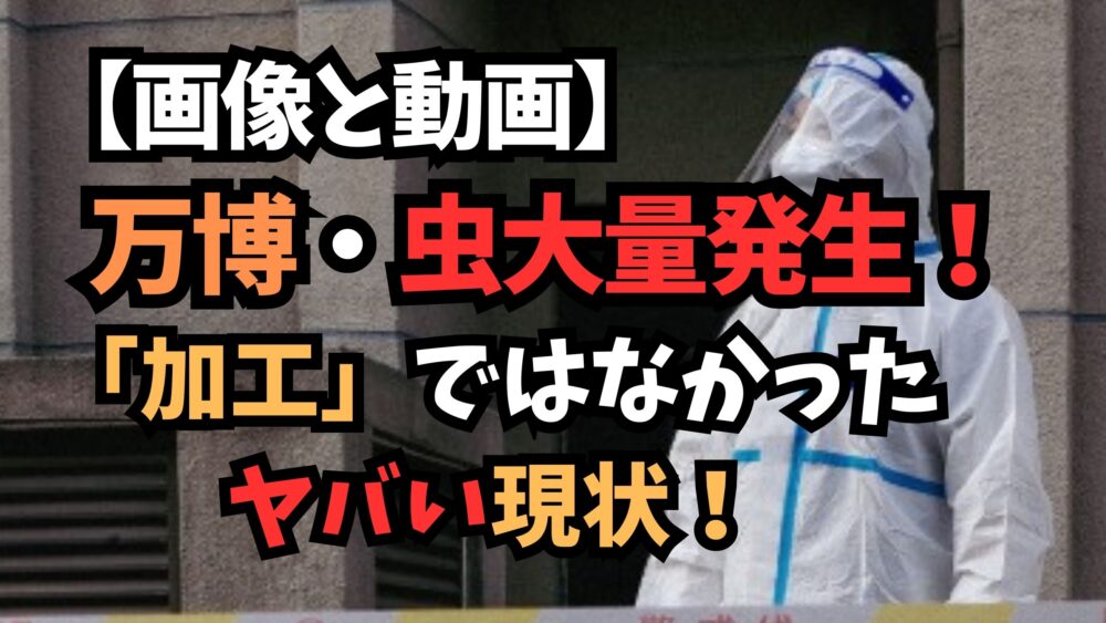 万博で虫が大量発生