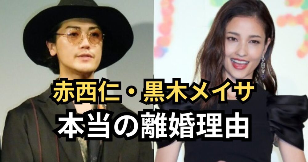 赤西仁と黒木メイサの離婚理由とは？