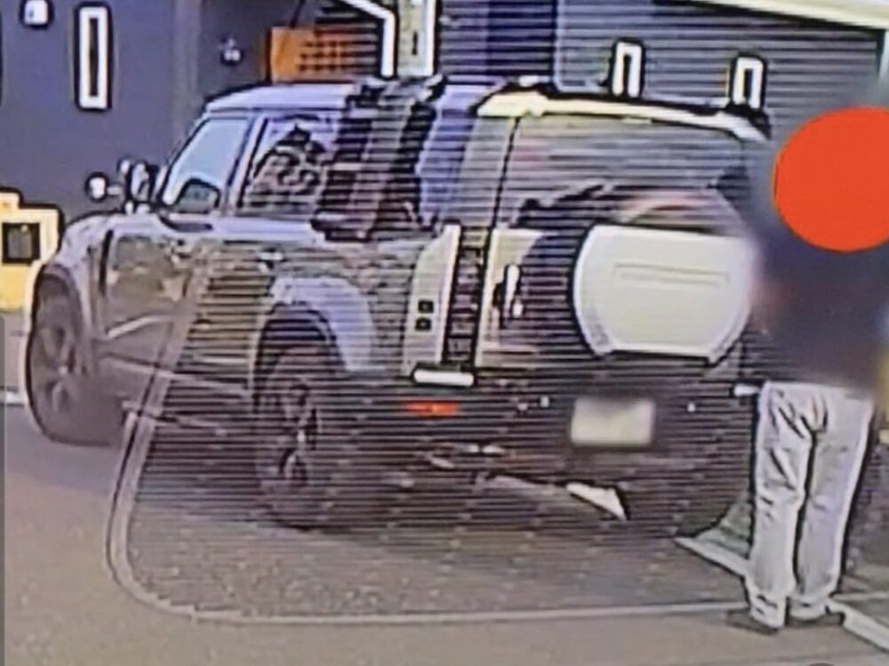 三郷市ひき逃げ事件の車種とナンバー